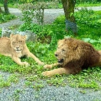 ユーザーアイコン