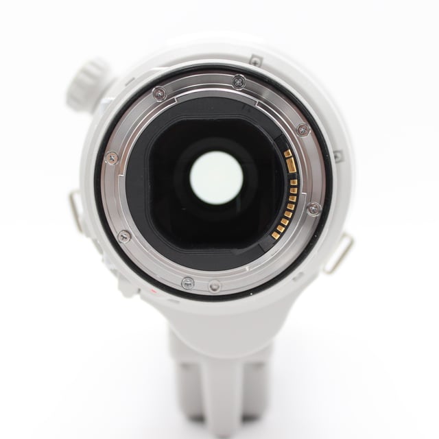 EF 200-400mm F4L IS USM エクステンダー 1.4×