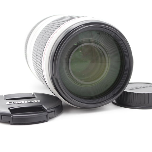 EF 100-400mm F4.5-5.6L IS II USM