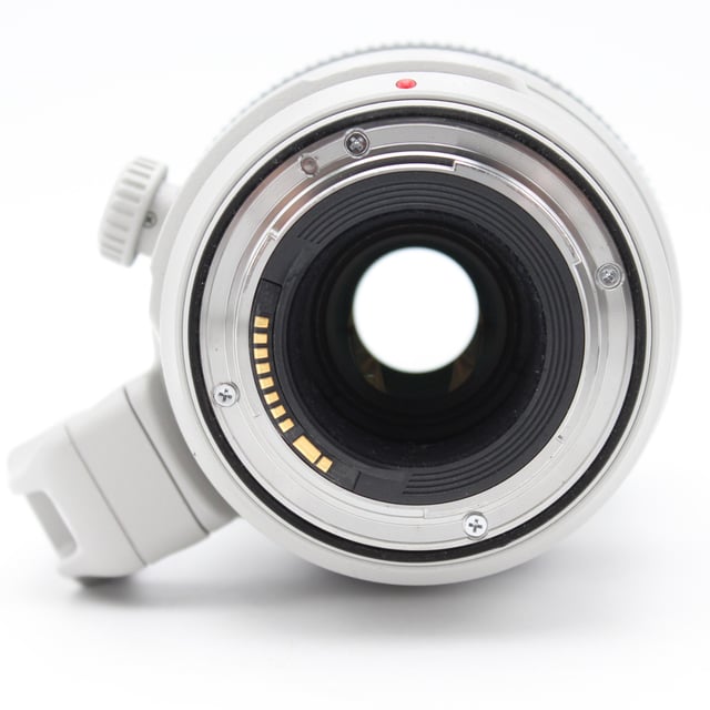 EF 100-400mm F4.5-5.6L IS II USM