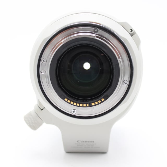RF 70-200mm F2.8 L IS USM