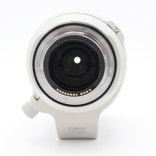 RF 70-200mm F2.8 L IS USM