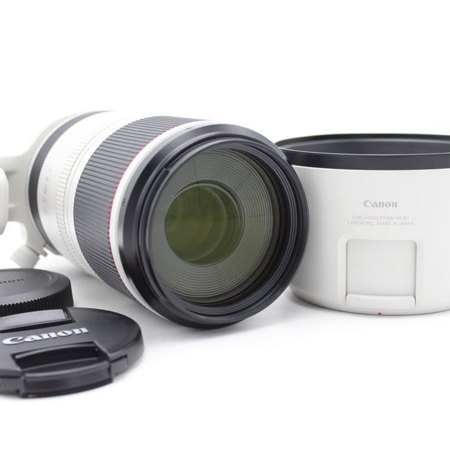RF 100-500mm F4.5-7.1 L IS USM