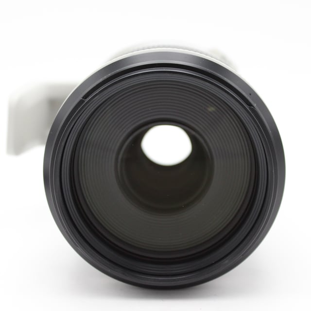 RF 100-500mm F4.5-7.1 L IS USM