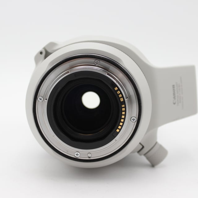 RF 100-500mm F4.5-7.1 L IS USM