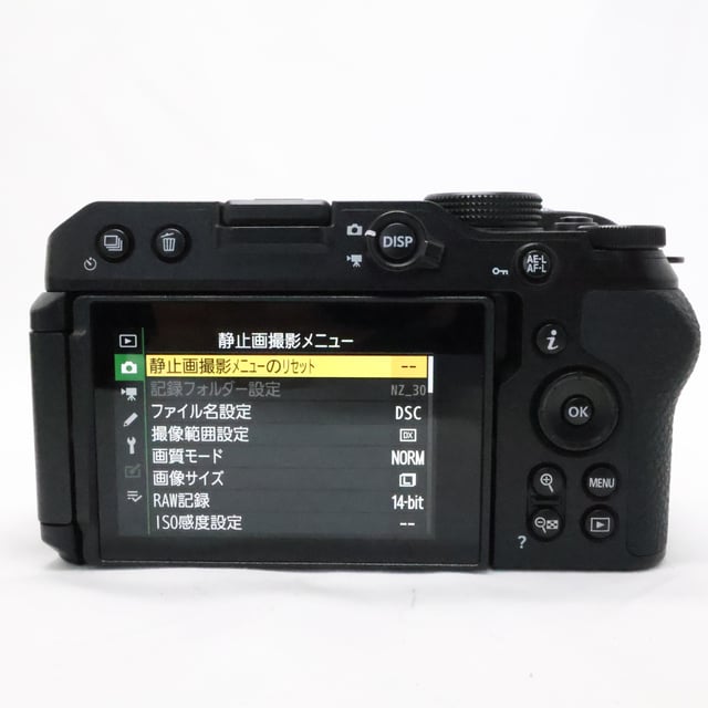 Z30 ボディ