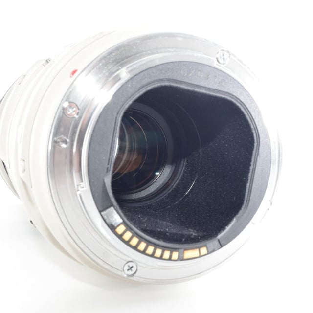EF 300mm F4L IS USM
