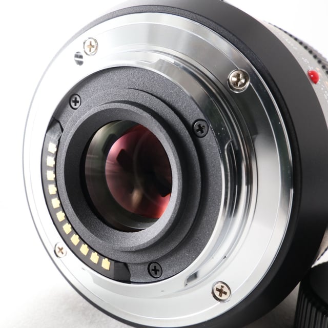 LEICA DG MACRO-ELMARIT 45mm/F2.8 ASPH./MEGA O.I.S.