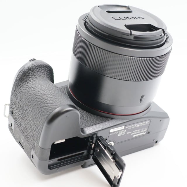 LUMIX FZ1000 II(DC-FZ1000M2)