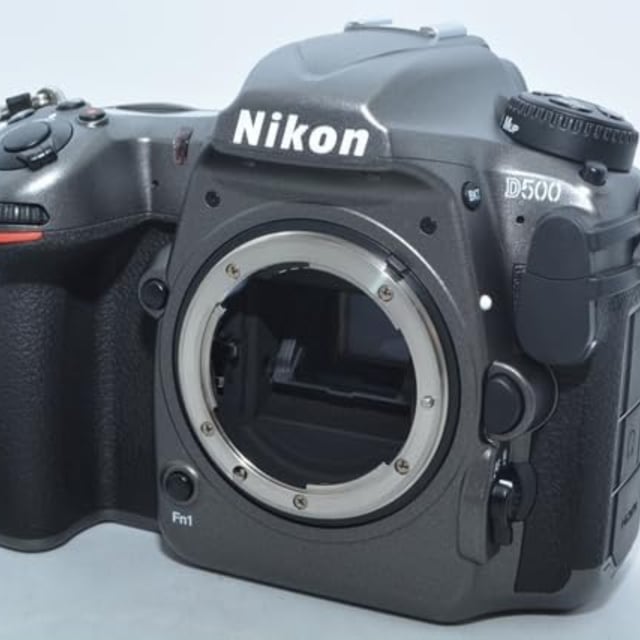 D500 ボディ