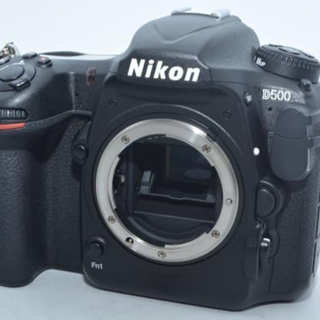 D500 ボディ