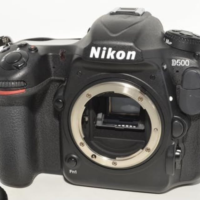 D500 ボディ