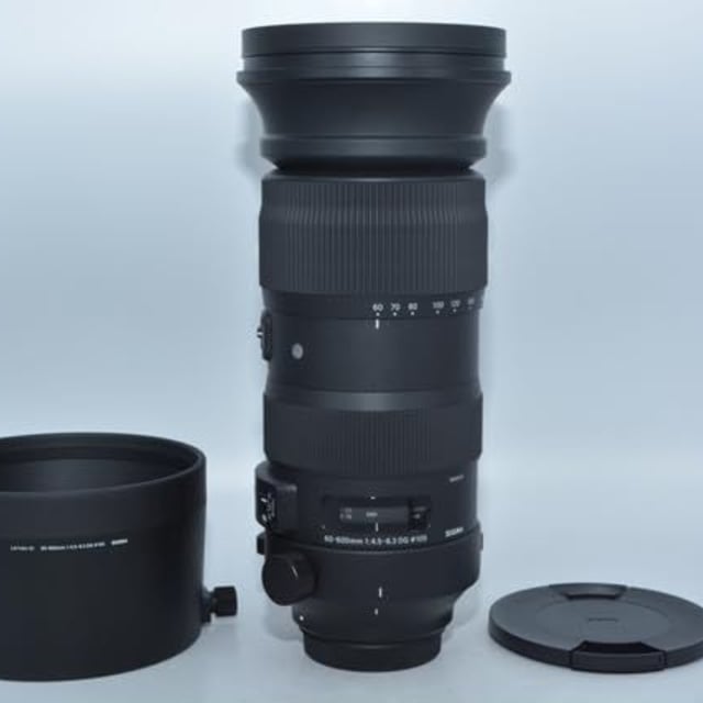 60-600mm F4.5-6.3 DG OS HSM