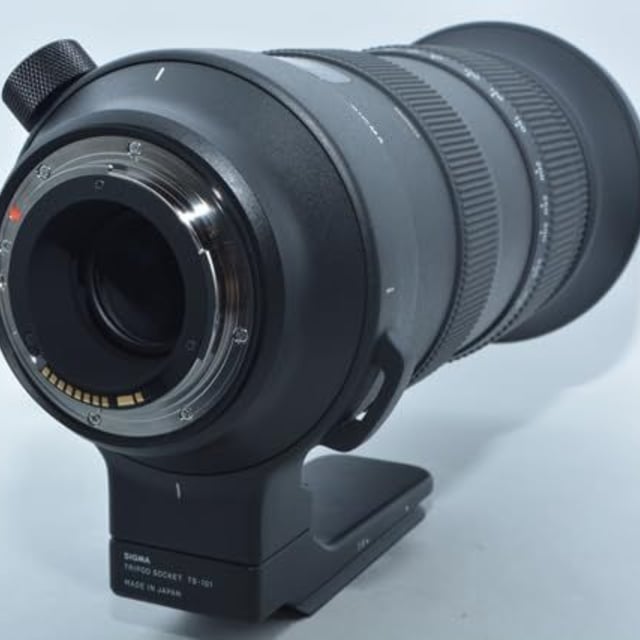 60-600mm F4.5-6.3 DG OS HSM キヤノン用