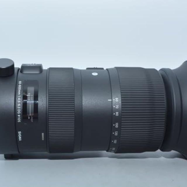 60-600mm F4.5-6.3 DG OS HSM キヤノン用