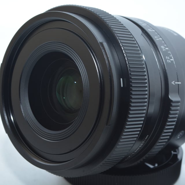 35mm F2 DG DN ソニーE用