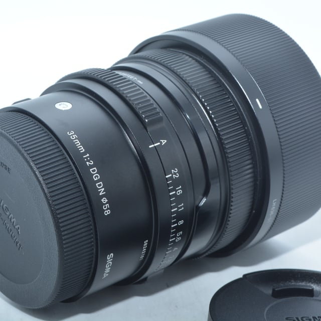 35mm F2 DG DN ソニーE用