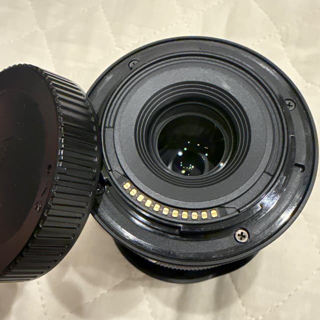 NIKKOR Z DX 50-250mm f/4.5-6.3 VR