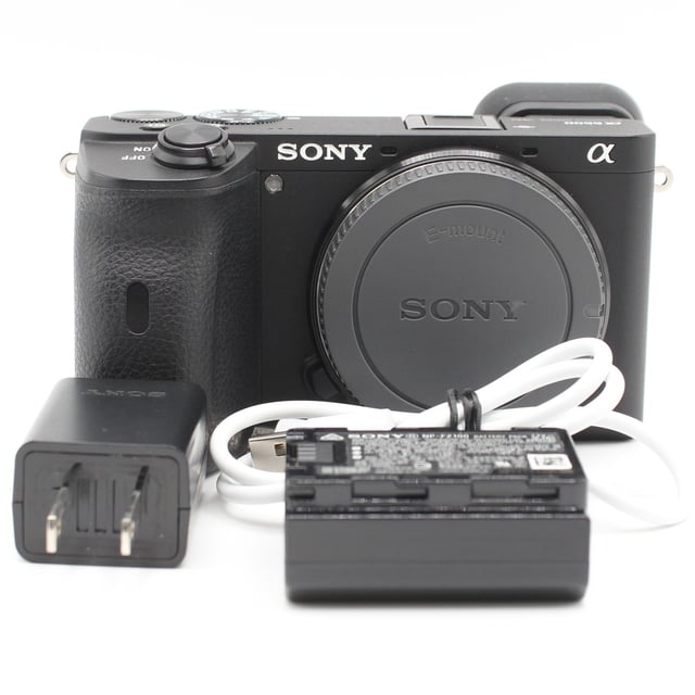 α6600 ILCE-6600 ボディ