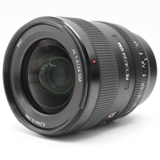 FE 24mm F1.4 GM SEL24F14GM