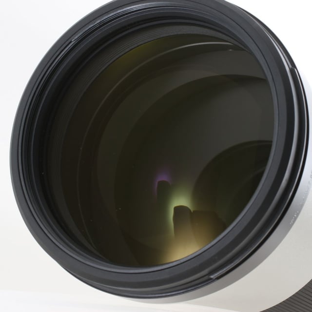 FE 200-600mm F5.6-6.3 G OSS SEL200600G
