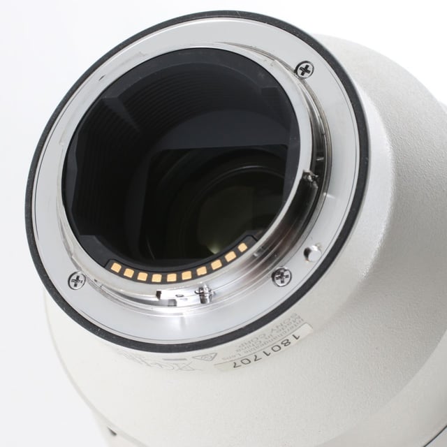 FE 200-600mm F5.6-6.3 G OSS SEL200600G