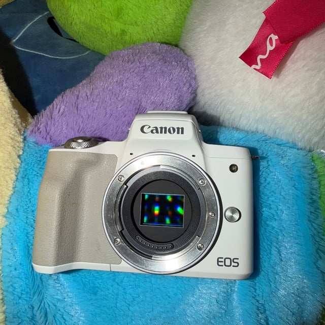 EOS R50 V ボディ "ホワイト"
