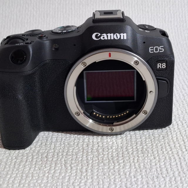 EOS R8 ボディ