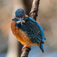 ユーザーアイコン