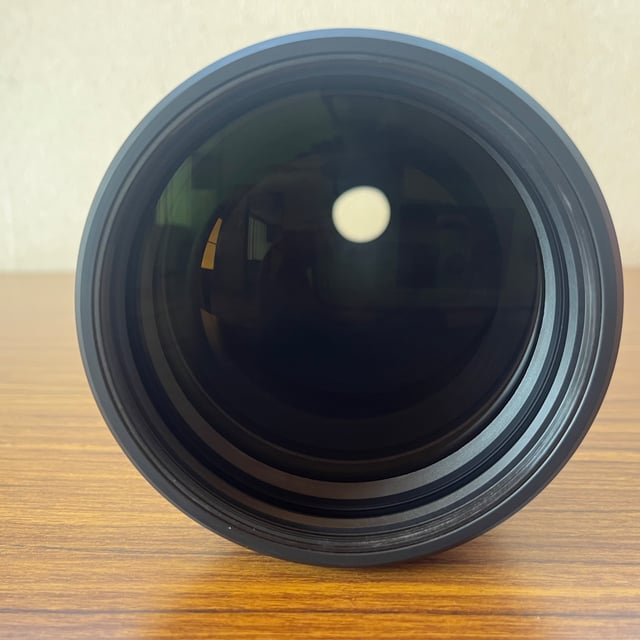 FE 200-600mm F5.6-6.3 G OSS SEL200600G