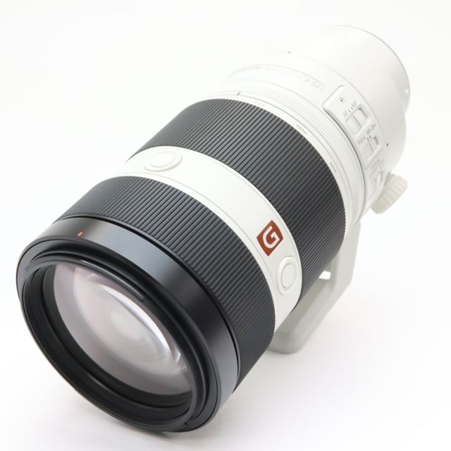 FE 100-400mm F4.5-5.6 GM OSS SEL100400GM