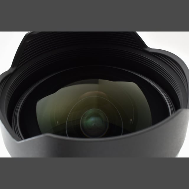 FE 12-24mm F2.8 GM SEL1224GM