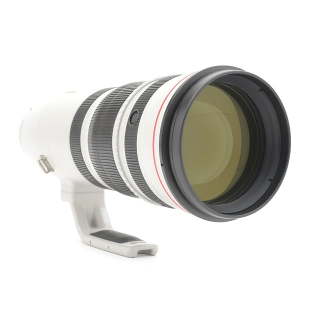 EF 200-400mm F4L IS USM エクステンダー 1.4×