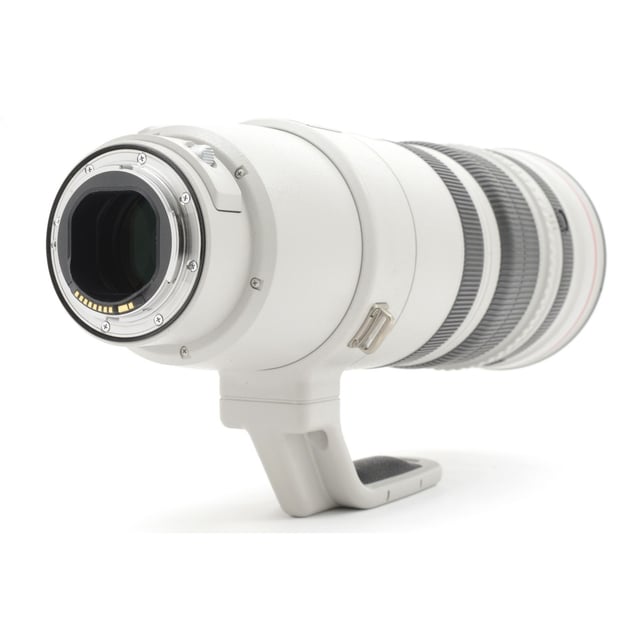 EF 200-400mm F4L IS USM エクステンダー 1.4×