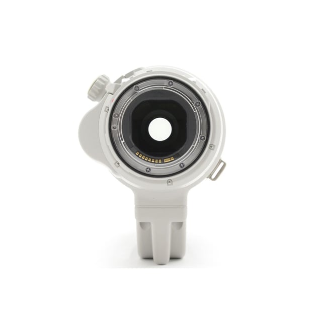 EF 200-400mm F4L IS USM エクステンダー 1.4×