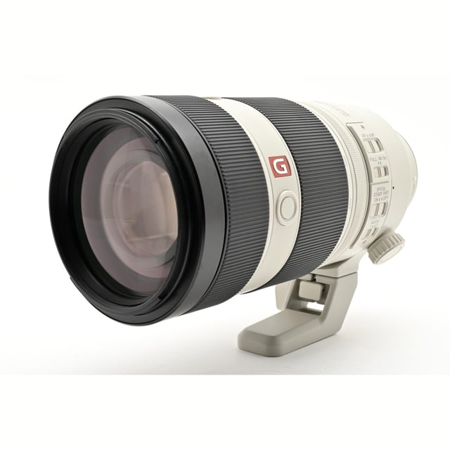 FE 100-400mm F4.5-5.6 GM OSS SEL100400GM