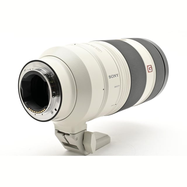 FE 100-400mm F4.5-5.6 GM OSS SEL100400GM