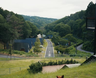 GFX100S x 中一光学 SPEEDMASTER 65mm F1.4の作例です