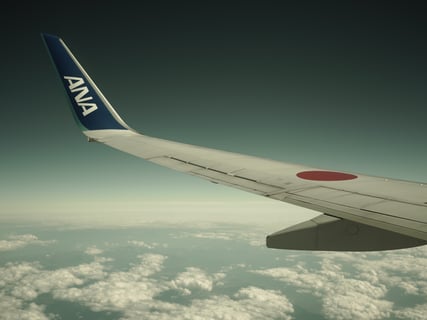 翼