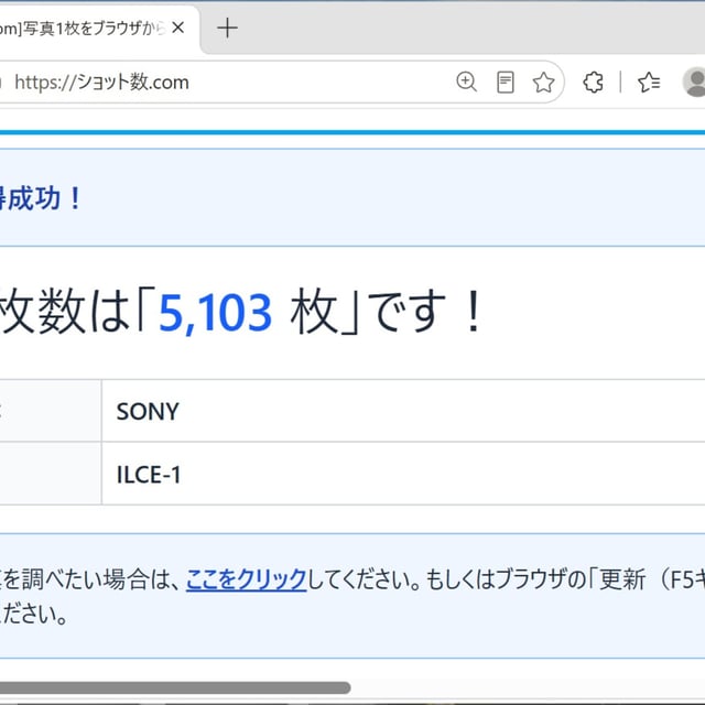 α1 ILCE-1 ボディ